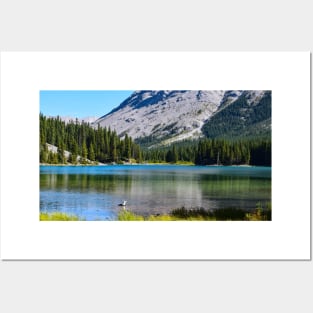 Elbow Lake in the Rockies. Posters and Art
